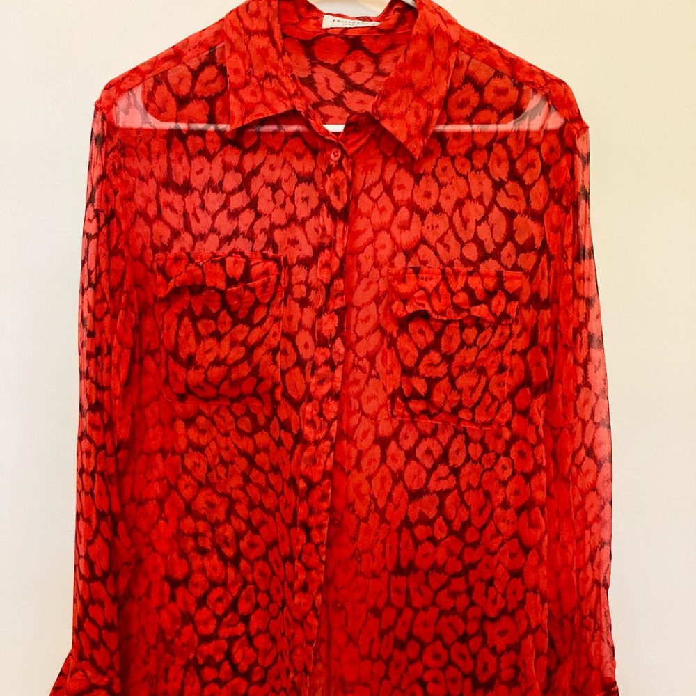 Sheer Long Sleeved Blouse
